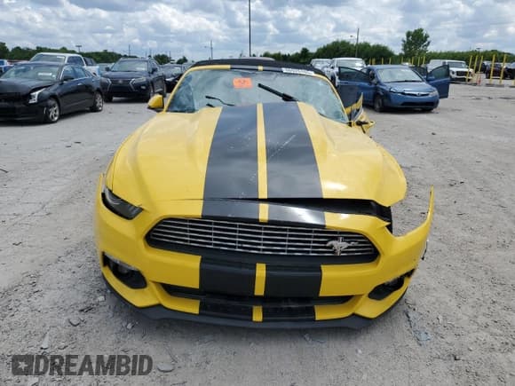 ✅ 2017 Ford Mustang EcoBoost Premium • VIN: 1FATP8UH7H5238245 • Lot: 66925105. Listed on Copart with Not provided. Free auction sales archive from the USA and detailed vehicle history report at DreamBid. Image 5.