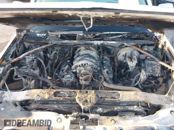 ✅ 2018 Chevrolet Silverado 1500 High Country • VIN: 3GCUKTEJ6JG452823 • Лот: 43385719. Опубликован ранее на IAAI с пробегом Не указан. Бесплатный доступ к архиву аукционных продаж из США и подробный отчёт об истории автомобиля на DreamBid. Изображение 10.