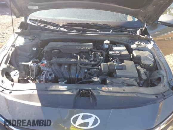 2024 Hyundai Elantra SEL with VIN KMHLM4DG1RU655074, listed as a IAAI auction lot 43604825 with 64,736 mi miles and . Bid and sale history available at DreamBid. Image 10.