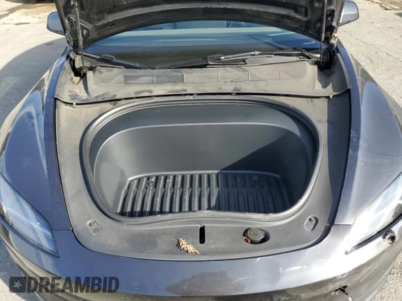 ✅ 2025 Tesla Model 3 Long Range • VIN: 5YJ3E1EA3SF023962 • Lot: 85928395. Listed on Copart with 19,655 mi. Free auction sales archive from the USA and detailed vehicle history report at DreamBid. Image 11.