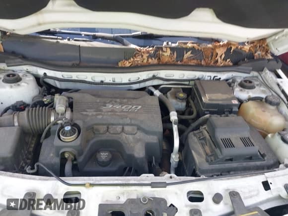 ✅ 2008 Chevrolet Equinox LT • VIN: 2CNDL33F886061962 • Lot: 41796866. Listed on IAAI with 98,868 mi. Free auction sales archive from the USA and detailed vehicle history report at DreamBid. Image 10.