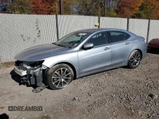 ✅ 2019 Acura TLX • VIN: 19UUB3F38KA007159 • Lot: 81951295. Listed on Copart with Not provided. Free auction sales archive from the USA and detailed vehicle history report at DreamBid. Image 1.