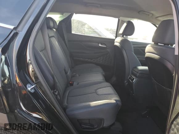 ✅ 2023 Hyundai Santa Fe SEL • VIN: 5NMS2DAJ8PH607548 • Lot: 81126603. Wystawiony na Copart z przebiegiem Nie podano. Bezpłatny archiwum sprzedaży aukcyjnych z USA i szczegółowy raport historii pojazdu na DreamBid. Zdjęcie 11.