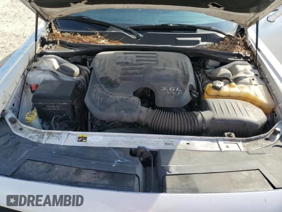 ✅ 2013 Dodge Challenger Rallye Redline • VIN: 2C3CDYAG3DH511283 • Lot: 43701345. Wystawiony na Copart z przebiegiem 82 753 mil. Bezpłatny archiwum sprzedaży aukcyjnych z USA i szczegółowy raport historii pojazdu na DreamBid. Zdjęcie 11.