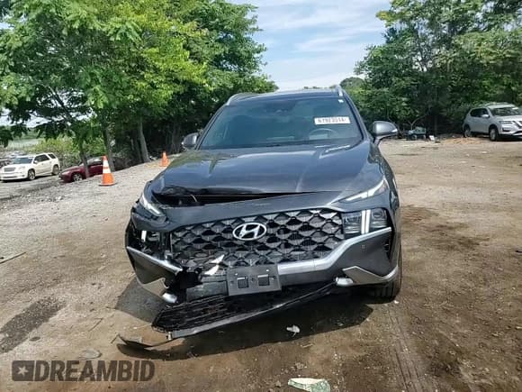 ✅ 2023 Hyundai Santa Fe Calligraphy • VIN: 5NMS5DAL2PH505977 • Lot: 61923514. Wystawiony na Copart z przebiegiem 43 313 mil. Bezpłatny archiwum sprzedaży aukcyjnych z USA i szczegółowy raport historii pojazdu na DreamBid. Zdjęcie 12.