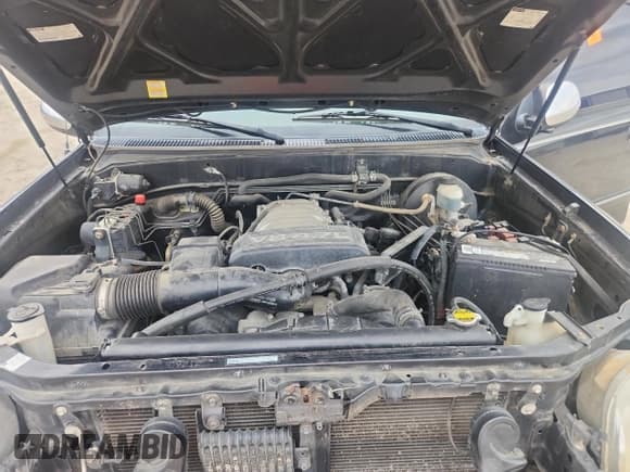 ✅ 2003 Toyota Tundra SR5 • VIN: 5TBRT34183S436415 • Lot: 69934475. Wystawiony na Copart z przebiegiem 294 239 mil. Bezpłatny archiwum sprzedaży aukcyjnych z USA i szczegółowy raport historii pojazdu na DreamBid. Zdjęcie 11.