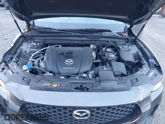 ✅ 2024 Mazda CX-50 S Preferred • VIN: 7MMVABBM2RN244604 • Lot: 43689556. Listed on IAAI with 28,168 mi. Free auction sales archive from the USA and detailed vehicle history report at DreamBid. Image 10.