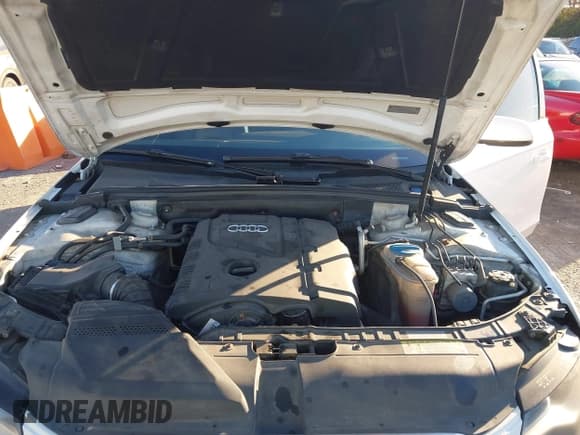 ✅ 2011 Audi A4 Premium Plus • VIN: WAUFFAFL9BN019357 • Lot: 43688323. Wystawiony na IAAI z przebiegiem 146 194 mil. Bezpłatny archiwum sprzedaży aukcyjnych z USA i szczegółowy raport historii pojazdu na DreamBid. Zdjęcie 10.