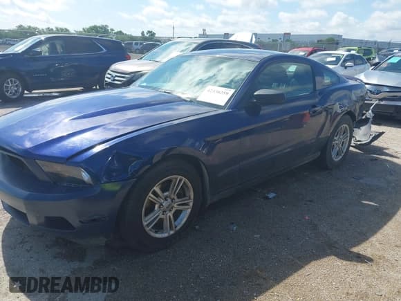 ✅ 2011 Ford Mustang V6 • VIN: 1ZVBP8AM7B5151781 • Lot: 42338259. Listed on IAAI with 179,558 mi. Free auction sales archive from the USA and detailed vehicle history report at DreamBid. Image 2.