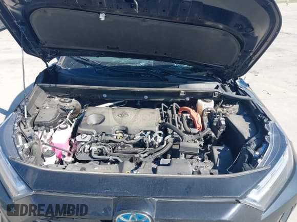 ✅ 2024 Toyota RAV4 Hybrid SE • VIN: 2T3T6RFVXRW070360 • Lot: 43433720. Wystawiony na IAAI z przebiegiem 28 926 mil. Bezpłatny archiwum sprzedaży aukcyjnych z USA i szczegółowy raport historii pojazdu na DreamBid. Zdjęcie 10.