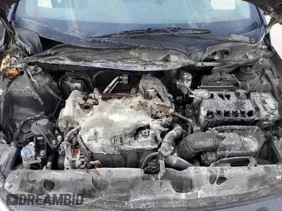 2017 Hyundai Accent Sport with VIN KMHCU5AE2HU354529, listed as a Copart auction lot 57215595 with Not provided miles and Salvage title. Bid and sale history available at DreamBid. Image 11.