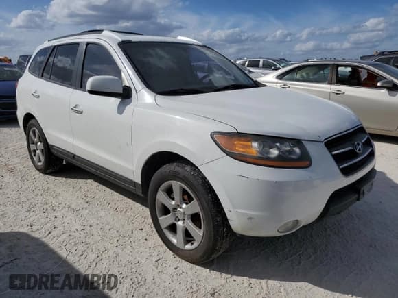 ✅ 2009 Hyundai Santa Fe Limited • VIN: 5NMSH13E69H246692 • Lot: 77209164. Listed on Copart with Not provided. Free auction sales archive from the USA and detailed vehicle history report at DreamBid. Image 4.