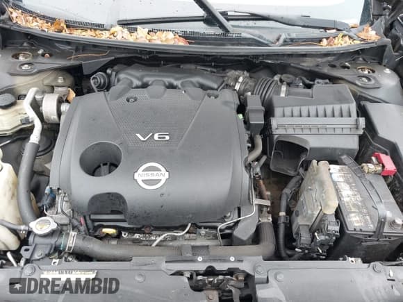 ✅ 2010 Nissan Maxima SV • VIN: 1N4AA5AP0AC833894 • Лот: 43793629. Опубликован ранее на IAAI с пробегом 114 627 миль. Бесплатный доступ к архиву аукционных продаж из США и подробный отчёт об истории автомобиля на DreamBid. Изображение 10.