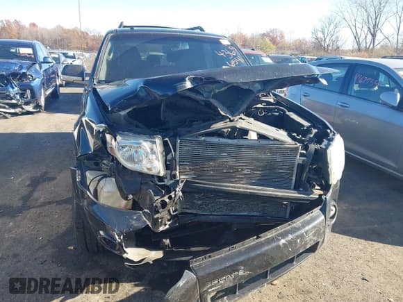 ✅ 2010 Ford Escape Limited • VIN: 1FMCU0EG3AKB29648 • Lot: 43696541. Wystawiony na IAAI z przebiegiem 129 513 mil. Bezpłatny archiwum sprzedaży aukcyjnych z USA i szczegółowy raport historii pojazdu na DreamBid. Zdjęcie 6.