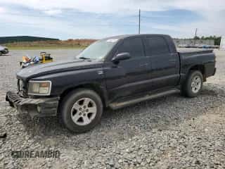 2009 Dodge Dakota Bighorn/Lonestar с VIN 1D7HE38P79S790167, выставлен на аукционе Copart как лот 51353734 с пробегом 262 039 миль миль и Списание • Salvage title. История ставок и продаж доступна на DreamBid. Изображение 1.