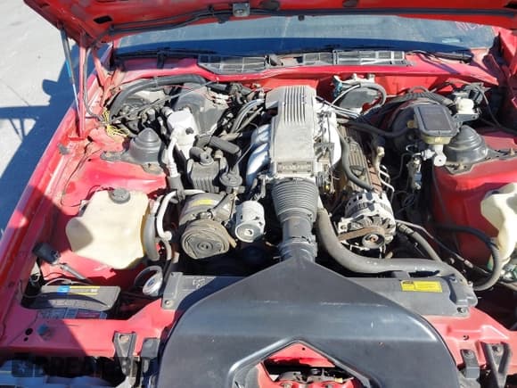 ✅ 1989 Chevrolet Camaro • VIN: 1G1FP21F9KL132317 • Лот: 43680953. Опубликован ранее на IAAI с пробегом 16 301 миль. Бесплатный доступ к архиву аукционных продаж из США и подробный отчёт об истории автомобиля на DreamBid. Изображение 10.