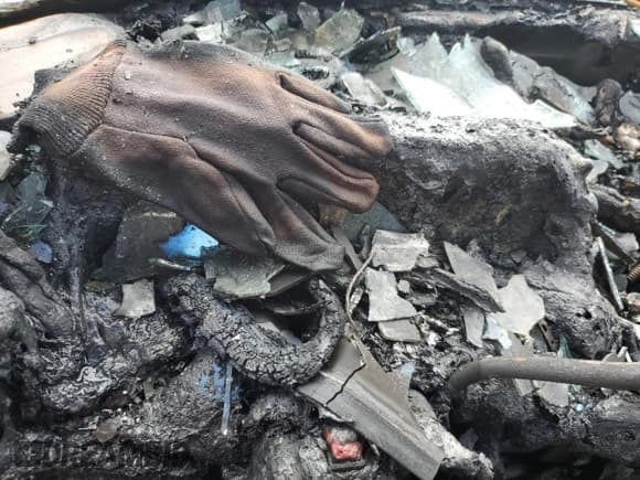 ✅ 1994 Ford F-150 • VIN: 1FTEF14N9RLA81351 • Lot: 55441735. Wystawiony na Copart z przebiegiem Nie podano. Bezpłatny archiwum sprzedaży aukcyjnych z USA i szczegółowy raport historii pojazdu na DreamBid. Zdjęcie 9.