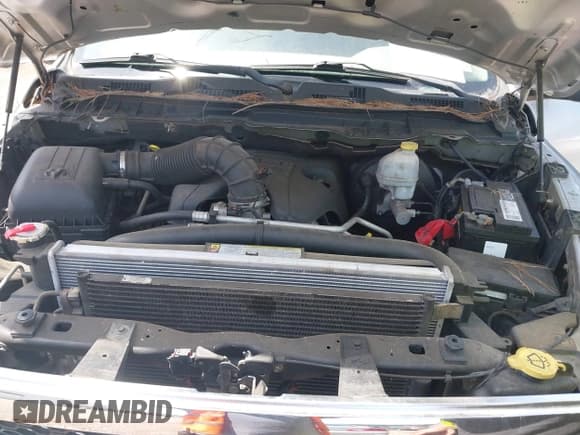 ✅ 2010 Dodge 1500 Sport • VIN: 1D7RV1CTXAS161049 • Lot: 42638463. Wystawiony na IAAI z przebiegiem 287 896 mil. Bezpłatny archiwum sprzedaży aukcyjnych z USA i szczegółowy raport historii pojazdu na DreamBid. Zdjęcie 10.