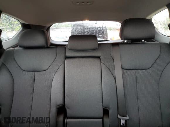 ✅ 2023 Hyundai Santa Fe SEL • VIN: 5NMS24AJ9PH570039 • Lot: 71310734. Wystawiony na Copart z przebiegiem 17 142 mil. Bezpłatny archiwum sprzedaży aukcyjnych z USA i szczegółowy raport historii pojazdu na DreamBid. Zdjęcie 10.