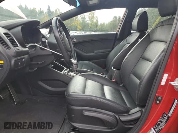 ✅ 2017 Kia Forte SX • VIN: 3KPFN5A37HE063049 • Lot: 82596455. Listed on Copart with 16,049 mi. Free auction sales archive from the USA and detailed vehicle history report at DreamBid. Image 7.