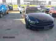 2014 Ford Mustang V6 with VIN 1ZVBP8EM1E5328453, listed as a IAAI auction lot 43291892 with 174,135 mi miles and . Bid and sale history available at DreamBid. Image 1.