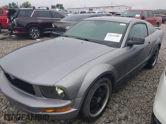 ✅ 2007 Ford Mustang Deluxe • VIN: 1ZVHT80N875216497 • Лот: 43532986. Опубликован ранее на IAAI с пробегом 206 216 миль. Бесплатный доступ к архиву аукционных продаж из США и подробный отчёт об истории автомобиля на DreamBid. Изображение 2.