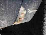 ✅ 2007 Chevrolet Silverado 1500 1LT • VIN: 2GCEC19C171708238 • Lot: 43661739. Listed on IAAI with 167,448 mi. Free auction sales archive from the USA and detailed vehicle history report at DreamBid. Image 3.