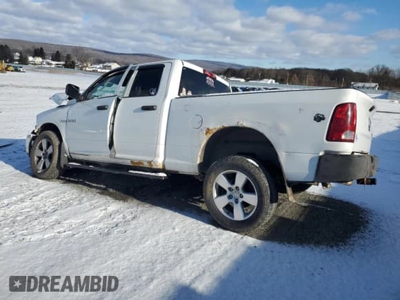✅ 2010 Dodge 1500 TRX • VIN: 1D7RV1GTXAS129762 • Lot: 44989825. Wystawiony na Copart z przebiegiem Nie podano. Bezpłatny archiwum sprzedaży aukcyjnych z USA i szczegółowy raport historii pojazdu na DreamBid. Zdjęcie 2.