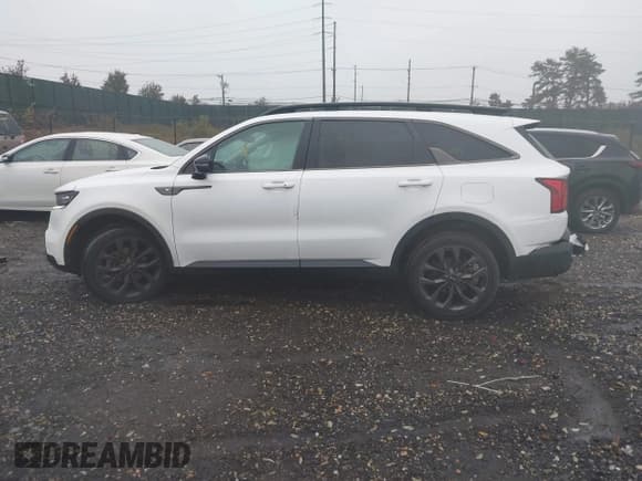 ✅ 2021 Kia Sorento SX • VIN: 5XYRKDLF0MG018183 • Lot: 43589343. Wystawiony na IAAI z przebiegiem 45 933 mil. Bezpłatny archiwum sprzedaży aukcyjnych z USA i szczegółowy raport historii pojazdu na DreamBid. Zdjęcie 14.
