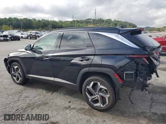 ✅ 2024 Hyundai Tucson Limited • VIN: 5NMJECDE4RH391566 • Lot: 73208984. Wystawiony na Copart z przebiegiem 9 074 mil. Bezpłatny archiwum sprzedaży aukcyjnych z USA i szczegółowy raport historii pojazdu na DreamBid. Zdjęcie 2.