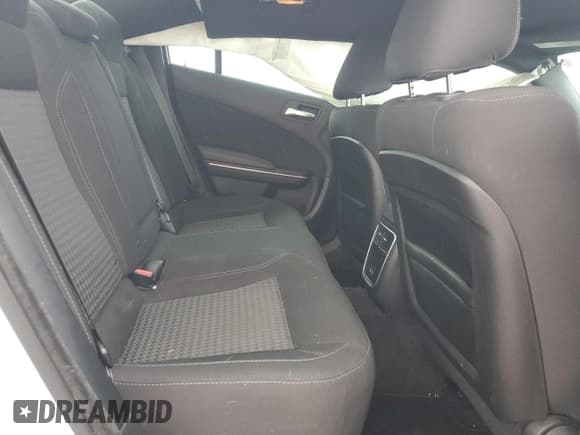 ✅ 2017 Dodge Charger R/T • VIN: 2C3CDXCT3HH623298 • Lot: 59424095. Listed on Copart with 196,228 mi. Free auction sales archive from the USA and detailed vehicle history report at DreamBid. Image 10.