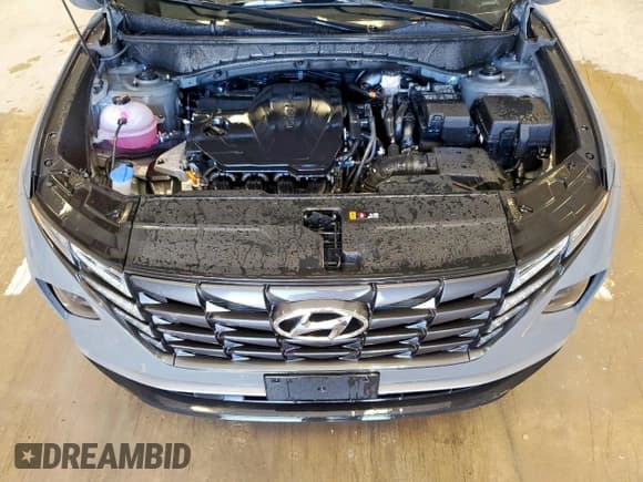 ✅ 2024 Hyundai Tucson SEL • VIN: 5NMJB3DE9RH424490 • Лот: 64265235. Опубликован ранее на Copart с пробегом 20 091 миль. Бесплатный доступ к архиву аукционных продаж из США и подробный отчёт об истории автомобиля на DreamBid. Изображение 12.