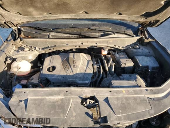 2023 Hyundai Santa Cruz SE с VIN 5NTJA4AE1PH042212, выставлен на аукционе Copart как лот 83299794 с пробегом 99 719 миль миль и Списание • Salvage title. История ставок и продаж доступна на DreamBid. Изображение 12.