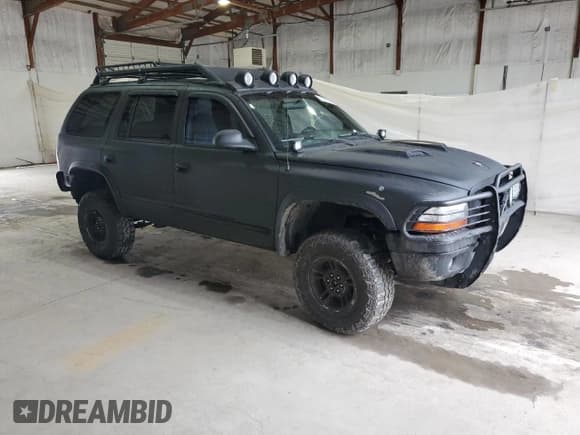 ✅ 1998 Dodge Durango • VIN: 1B4HS28Y8WF189972 • Lot: 81495365. Wystawiony na Copart z przebiegiem 262 350 mil. Bezpłatny archiwum sprzedaży aukcyjnych z USA i szczegółowy raport historii pojazdu na DreamBid. Zdjęcie 4.