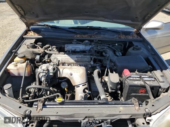 ✅ 1999 Toyota Camry LE • VIN: 4T1BG22K0XU572702 • Lot: 70462825. Wystawiony na Copart z przebiegiem 46 131 mil. Bezpłatny archiwum sprzedaży aukcyjnych z USA i szczegółowy raport historii pojazdu na DreamBid. Zdjęcie 11.