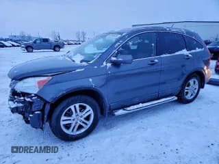 ✅ 2010 Honda CR-V EX-L • VIN: 5J6RE4H73AL804031 • Lot: 92995485. Wystawiony na Copart z przebiegiem 293 018 mil. Bezpłatny archiwum sprzedaży aukcyjnych z USA i szczegółowy raport historii pojazdu na DreamBid. Zdjęcie 1.