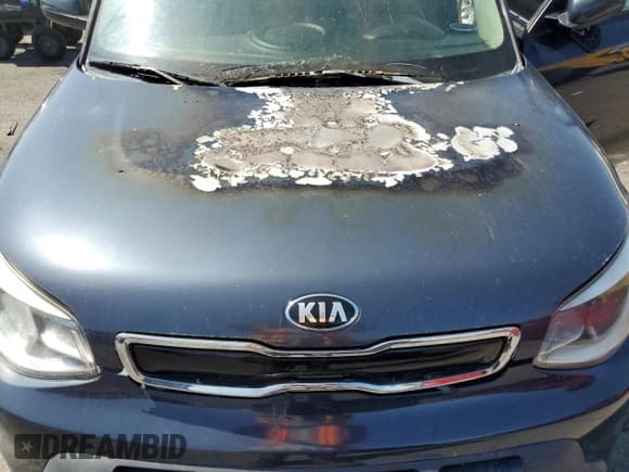 ✅ 2015 Kia Soul + • VIN: KNDJP3A59F7148546 • Лот: 59903645. Опубликован ранее на Copart с пробегом Не указан. Бесплатный доступ к архиву аукционных продаж из США и подробный отчёт об истории автомобиля на DreamBid. Изображение 11.