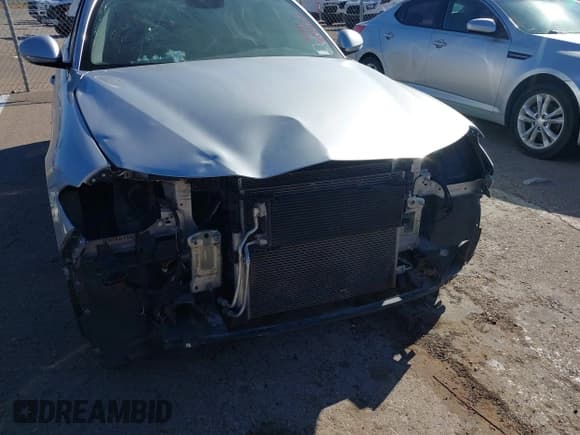 ✅ 2019 Alfa Romeo Giulia Ti Lusso • VIN: ZARFAMBN8K7600868 • Lot: 43840457. Listed on IAAI with 69,372 mi. Free auction sales archive from the USA and detailed vehicle history report at DreamBid. Image 6.