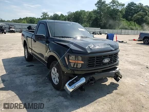 ✅ 2025 Ford F-150 XL • VIN: 1FTMF1L57SKD48169 • Lot: 66871555. Listed on Copart with 4,002 mi. Free auction sales archive from the USA and detailed vehicle history report at DreamBid. Image 13.