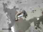 2005 Hyundai Accent GLS z VIN KMHCG45C85U579253, wystawiony jako Copart lot #44936145 z przebiegiem 197 561 mil mil oraz Czysty tytuł • Clean title. Historia ofert i sprzedaży dostępna na DreamBid. Obrazek 12.