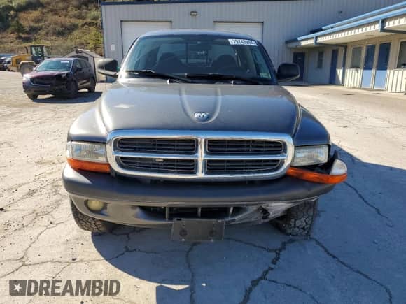✅ 2004 Dodge Dakota Sport • VIN: 1D7HG38K94S556894 • Lot: 79743994. Listed on Copart with 174,933 mi miles. Access the free auction sales archive from the USA and view a detailed vehicle history report at DreamBid. Image 5.