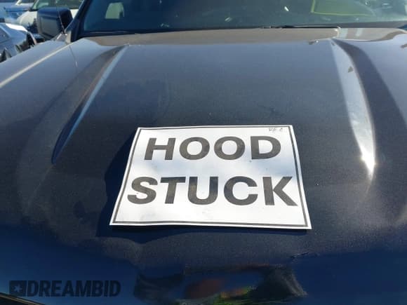 ✅ 2023 Chevrolet Silverado 1500 Custom • VIN: 3GCPABEK5PG262216 • Lot: 43852032. Wystawiony na IAAI z przebiegiem 34 397 mil. Bezpłatny archiwum sprzedaży aukcyjnych z USA i szczegółowy raport historii pojazdu na DreamBid. Zdjęcie 10.