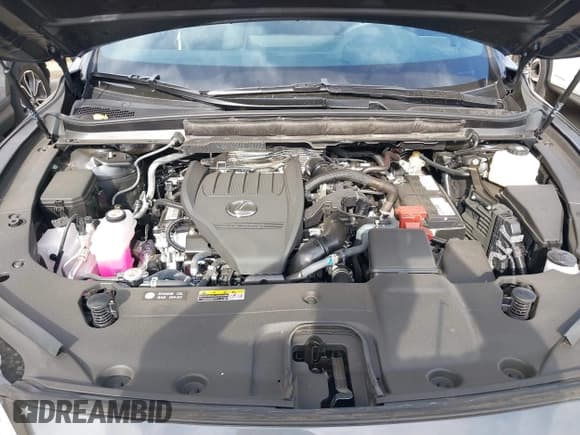 ✅ 2024 Lexus RX 350 • VIN: 2T2BAMBA4RC043189 • Лот: 41232247. Опубликован ранее на IAAI с пробегом 4 741 миль. Бесплатный доступ к архиву аукционных продаж из США и подробный отчёт об истории автомобиля на DreamBid. Изображение 10.