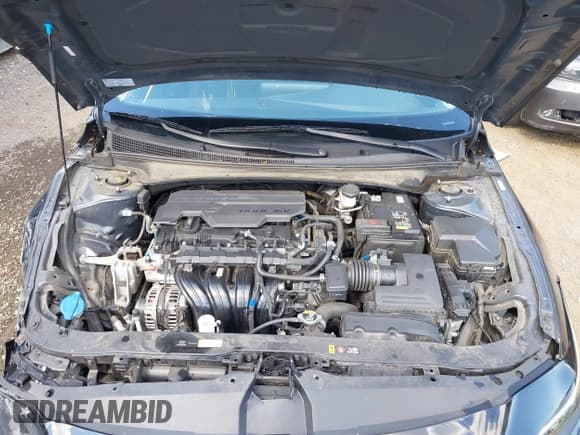 ✅ 2024 Hyundai Elantra SEL • VIN: KMHLM4DG0RU813985 • Lot: 43147430. Listed on IAAI with 50,407 mi. Free auction sales archive from the USA and detailed vehicle history report at DreamBid. Image 10.