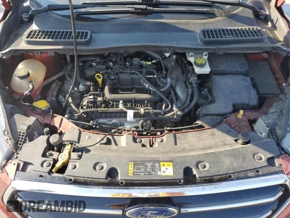 ✅ 2019 Ford Escape SE • VIN: 1FMCU0GD4KUC05919 • Lot: 80580195. Wystawiony na Copart z przebiegiem 148 001 mil. Bezpłatny archiwum sprzedaży aukcyjnych z USA i szczegółowy raport historii pojazdu na DreamBid. Zdjęcie 11.