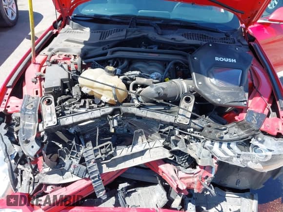 ✅ 2019 Ford Mustang GT • VIN: 1FA6P8CF9K5143836 • Lot: 42007730. Listed on IAAI with 40,326 mi. Free auction sales archive from the USA and detailed vehicle history report at DreamBid. Image 10.