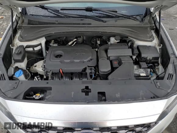 ✅ 2019 Hyundai Santa Fe SE • VIN: 5NMS2CAD5KH077021 • Lot: 43670733. Wystawiony na Copart z przebiegiem 67 064 mil. Bezpłatny archiwum sprzedaży aukcyjnych z USA i szczegółowy raport historii pojazdu na DreamBid. Zdjęcie 12.