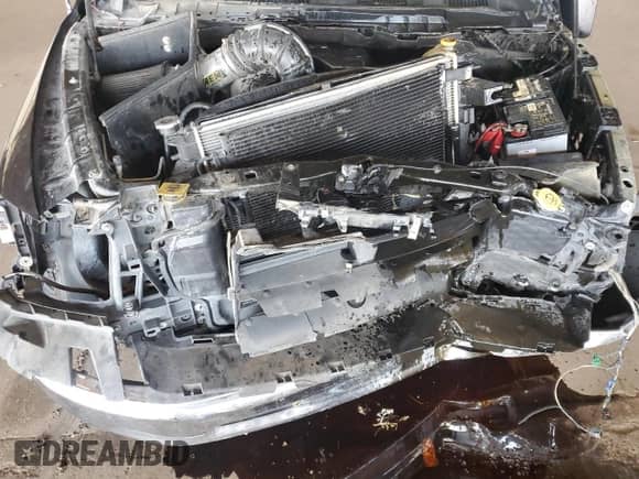 2009 Dodge 1500 SLT with VIN 1D3HV16T29J532862, listed as a Copart auction lot 82501505 with 171,783 mi miles and Clean title. Bid and sale history available at DreamBid. Image 11.