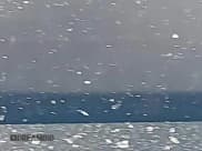 ✅ 2023 Volkswagen Jetta Sport • VIN: 3VWAM7BU2PM060254 • Lot: 41969088. Listed on IAAI with Not provided. Free auction sales archive from the USA and detailed vehicle history report at DreamBid. Image 16.