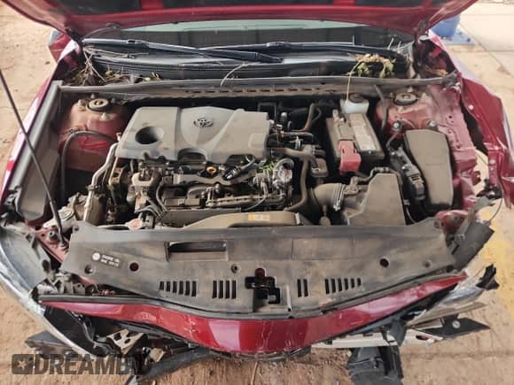 2022 Toyota Camry LE with VIN 4T1C11BK9NU055556, listed as a Copart auction lot 81406025 with 84,373 mi miles and Salvage title. Bid and sale history available at DreamBid. Image 11.